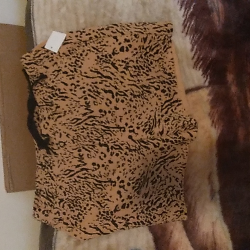 Women shorts